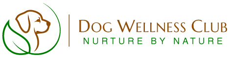 DWC Web Header 120