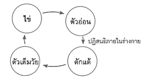 Screenshot 2022-05-13 143808
