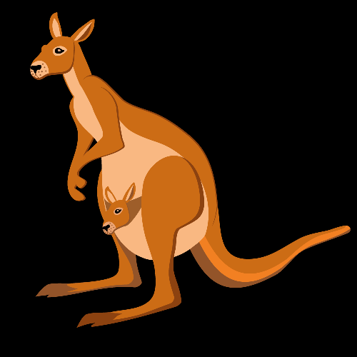 Vocabulary_66_Kangaroo