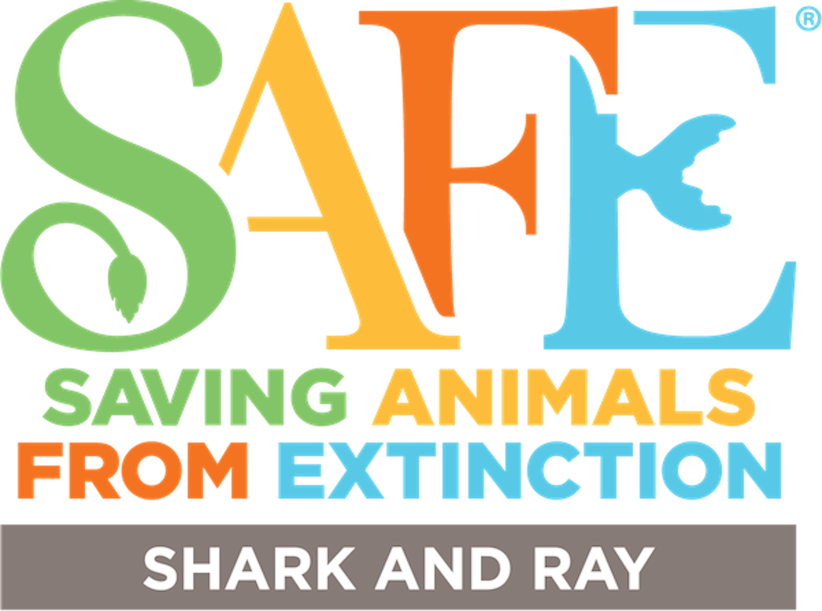 SAFE_Species-Logo_Shark-and-Ray-2