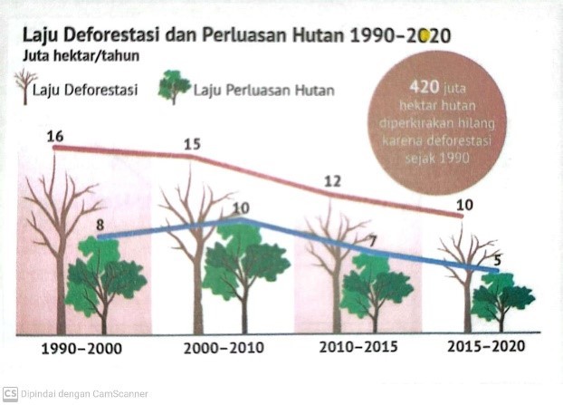 Laju deforestasi dan perluasan hutan 1990-2020