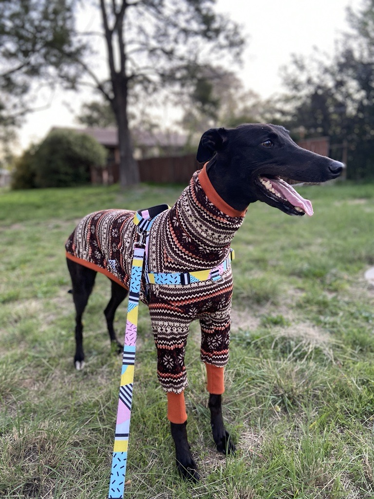 MicrosoftTeams-image