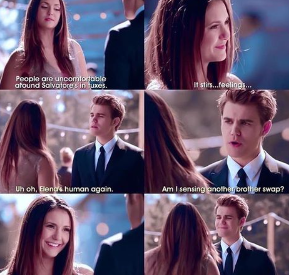 Stelena
