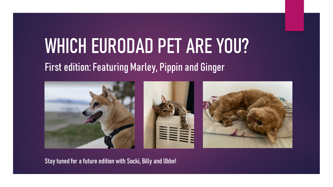 Which Eurodad pet